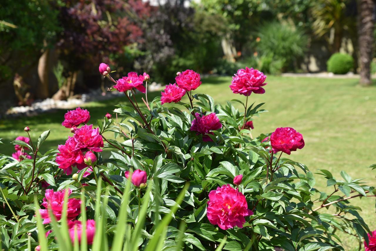 Petite Emeraude Bed and Breakfast Cancale Esterno foto